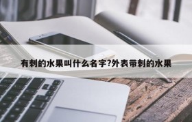 有刺的水果叫什么名字?外表带刺的水果